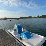 Gruener Am Kiebitzsee