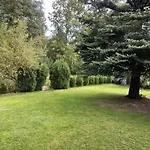 Gruener Am Kiebitzsee * Falkenburg