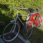 Gruener Am Kiebitzsee Falkenburg