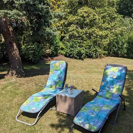 Gruener Am Kiebitzsee Falkenberg/Elster