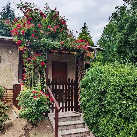 Gruener Am Kiebitzsee * Falkenberg/Elster