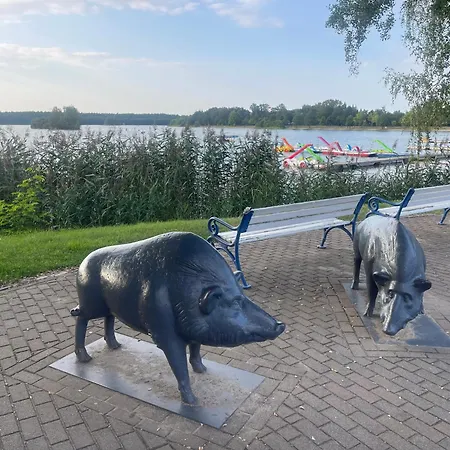 Дом отдыха Gruener Am Kiebitzsee Falkenberg/Elster