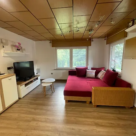 Gruener Am Kiebitzsee Falkenberg/Elster