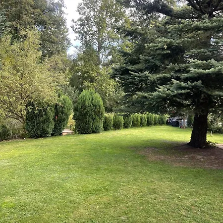 Gruener Am Kiebitzsee * Falkenberg/Elster