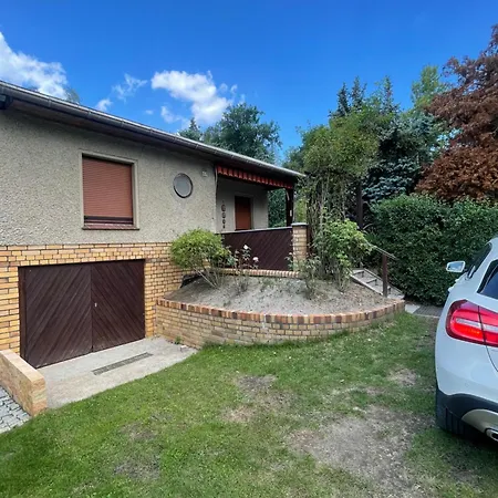 Gruener Am Kiebitzsee