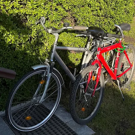Gruener Am Kiebitzsee Falkenburg