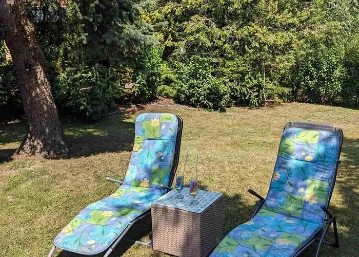 Gruener Am Kiebitzsee Falkenburg