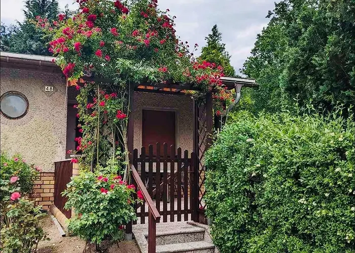 Gruener Am Kiebitzsee * Falkenburg