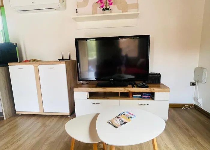 Gruener Am Kiebitzsee *