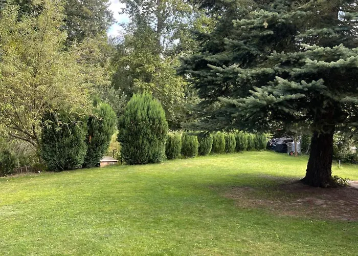 Gruener Am Kiebitzsee * Falkenburg