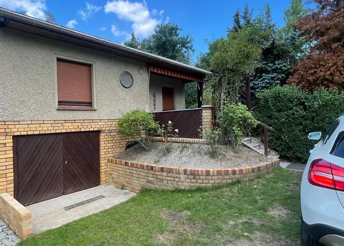 Gruener Am Kiebitzsee